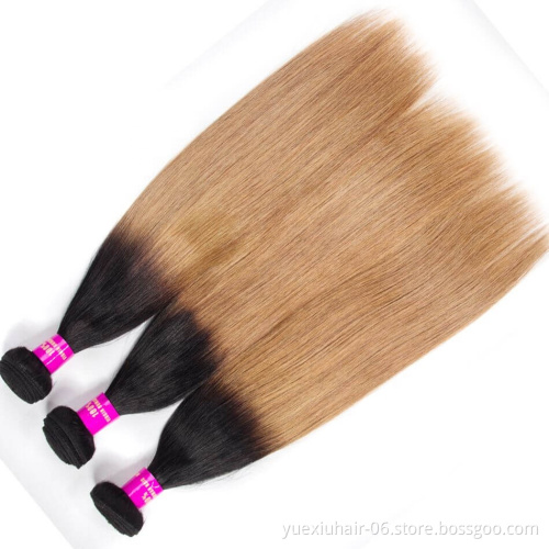CELIE Cuticle Aligned 1B/27 Ombre Hair Extensions Wholesale Virgin Hair Vendors Good Quality Ombre Braiding Hair